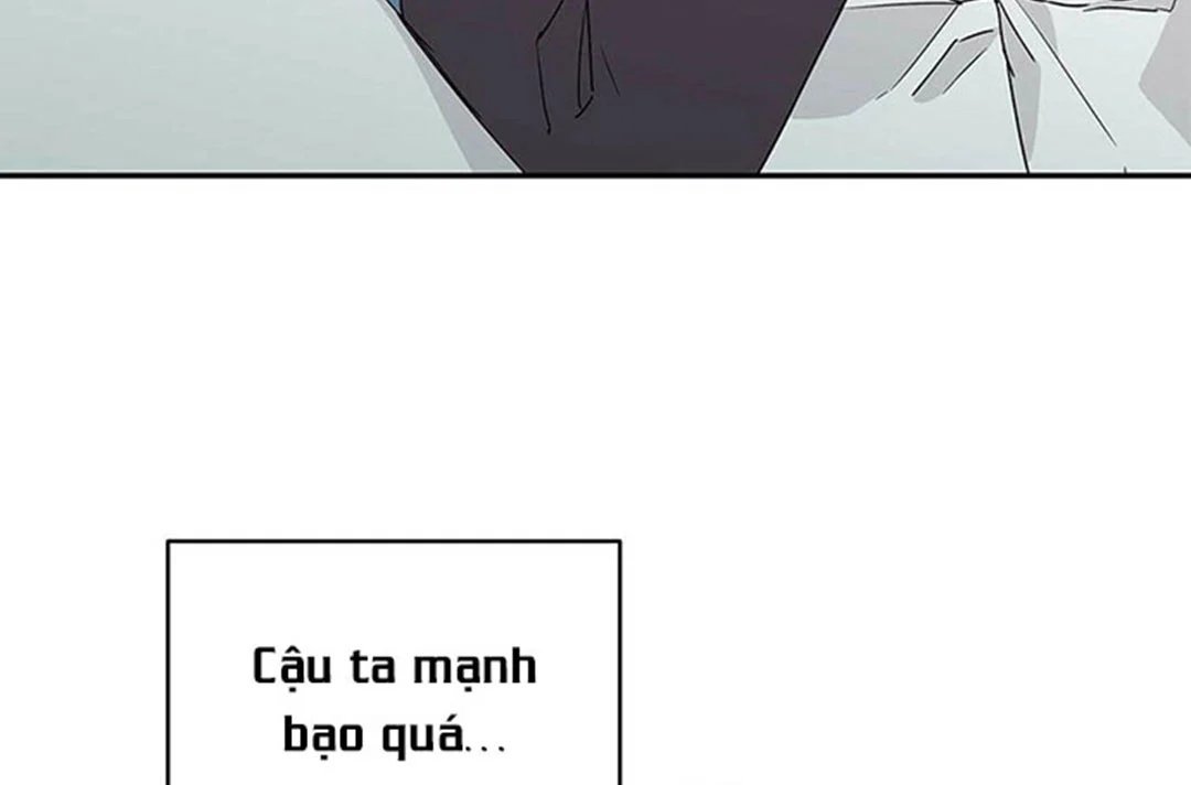 guide cấp b chapter 8 123