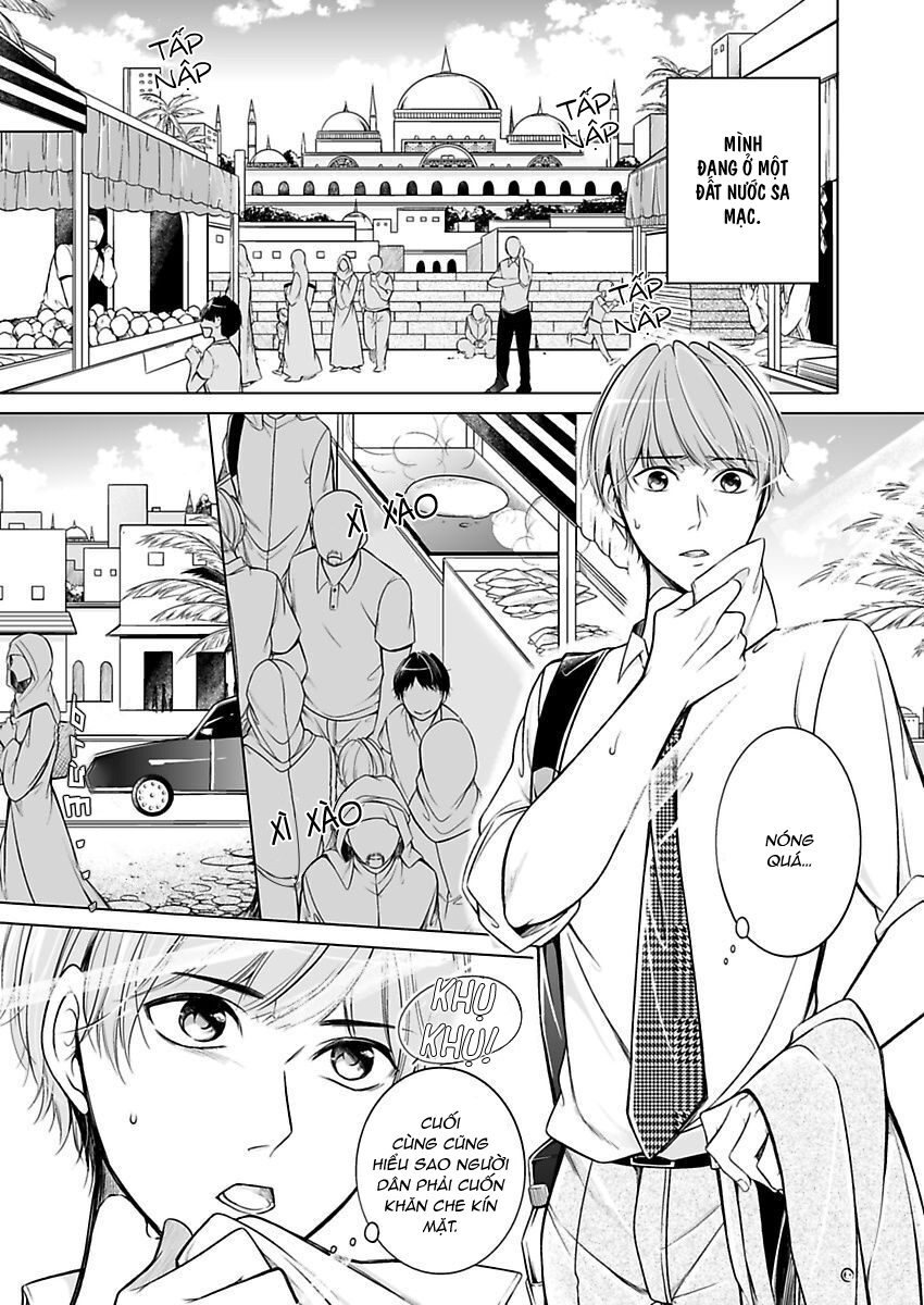 thú chơi xa xỉ của nhà tài phiệt ả rập chapter 1 3