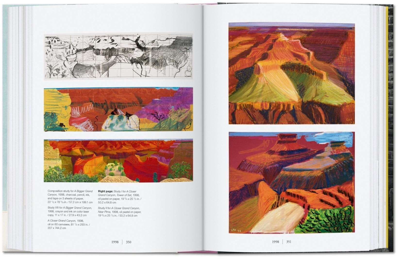 Artbook - Sách Tiếng Anh - David Hockney