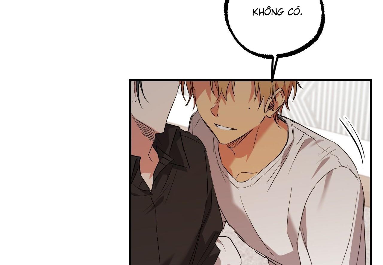 những chú thỏ của hapypy chapter 60 237