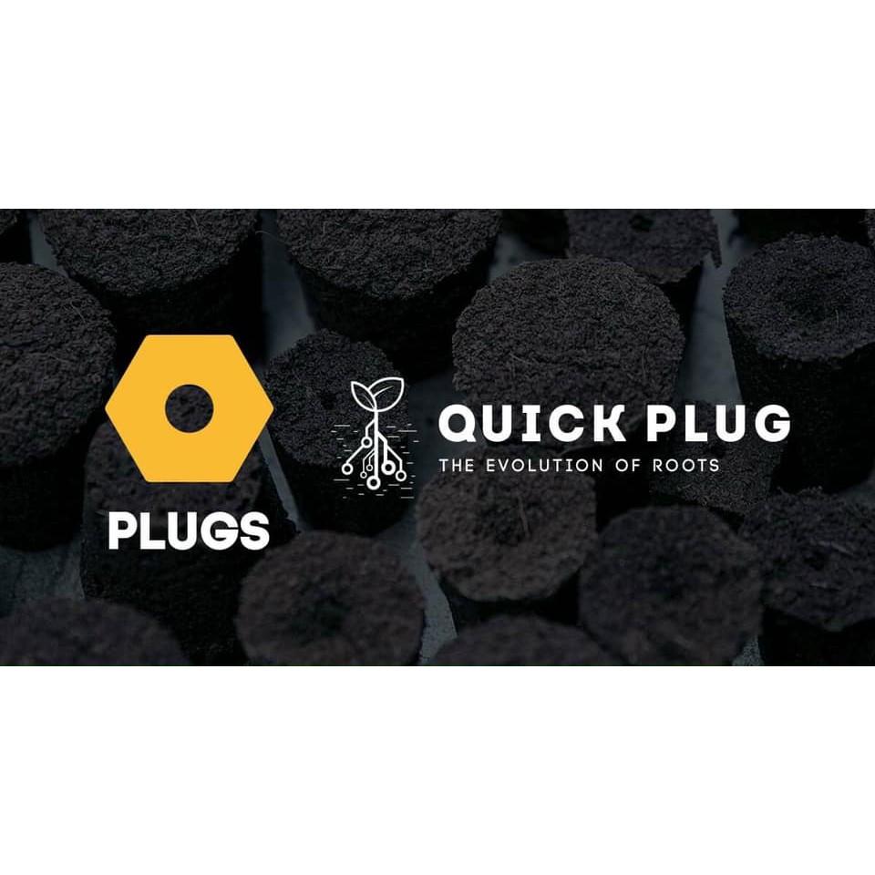 1 THÙNG mút HỮU CƠ ươm kei QUICK PLUG Hà Lan