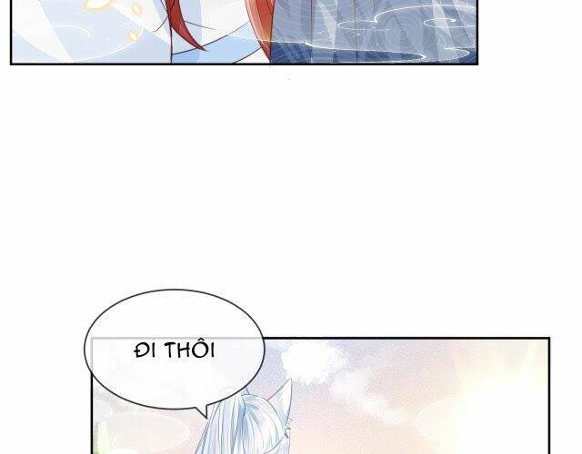 hắc hóa nam chính trực tuyến nuôi thỏ chapter 11 54