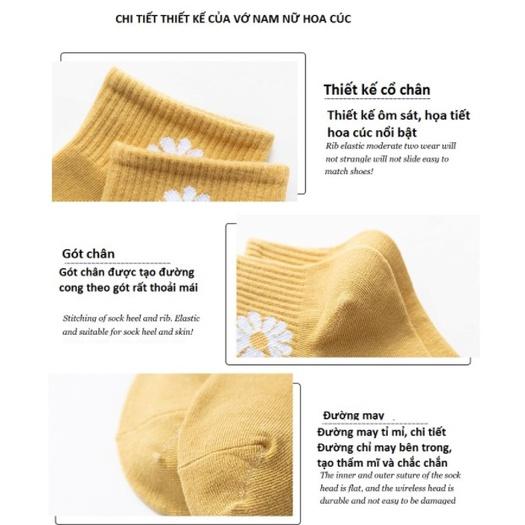 Tất/ vớ nữ họa tiết hoa cúc, chất liệu cotton khử mùi kháng khuẩn rất tốt VT-97 Việt Tiến - giao màu ngẫu nhiên