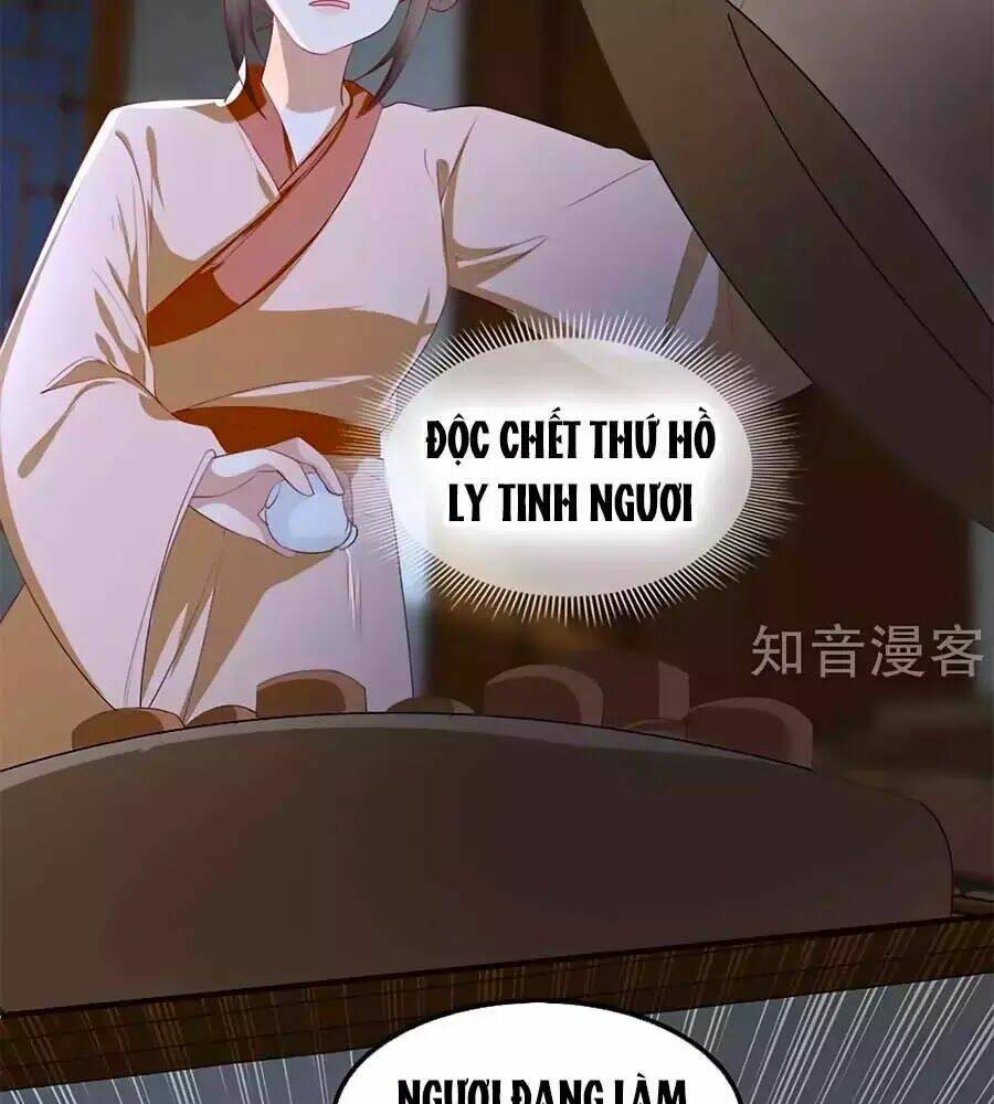gian phi như thử đa kiều chapter 48 65
