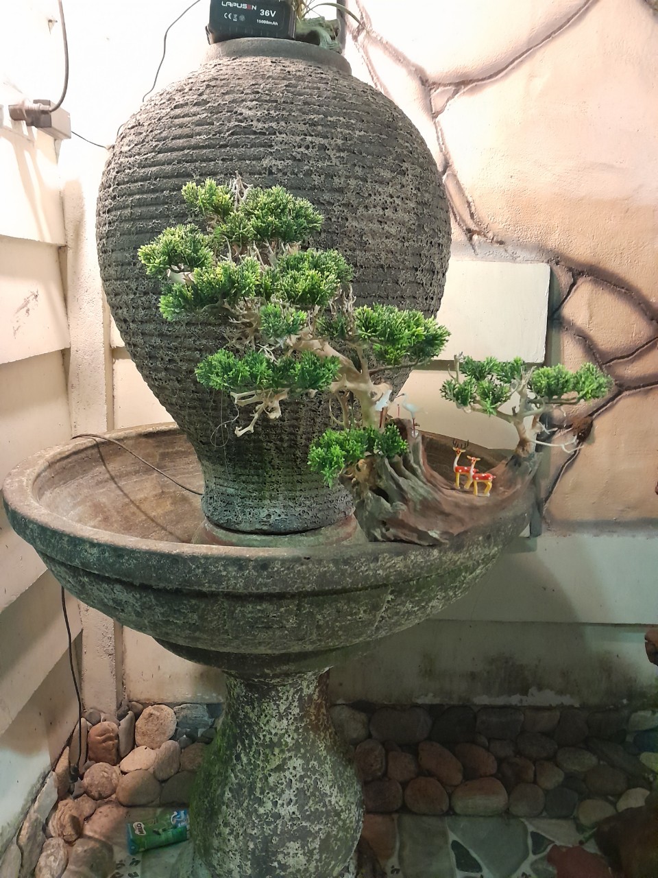 Bonsai Bể Cá – Cây Bonsai Đặt Phòng Khách