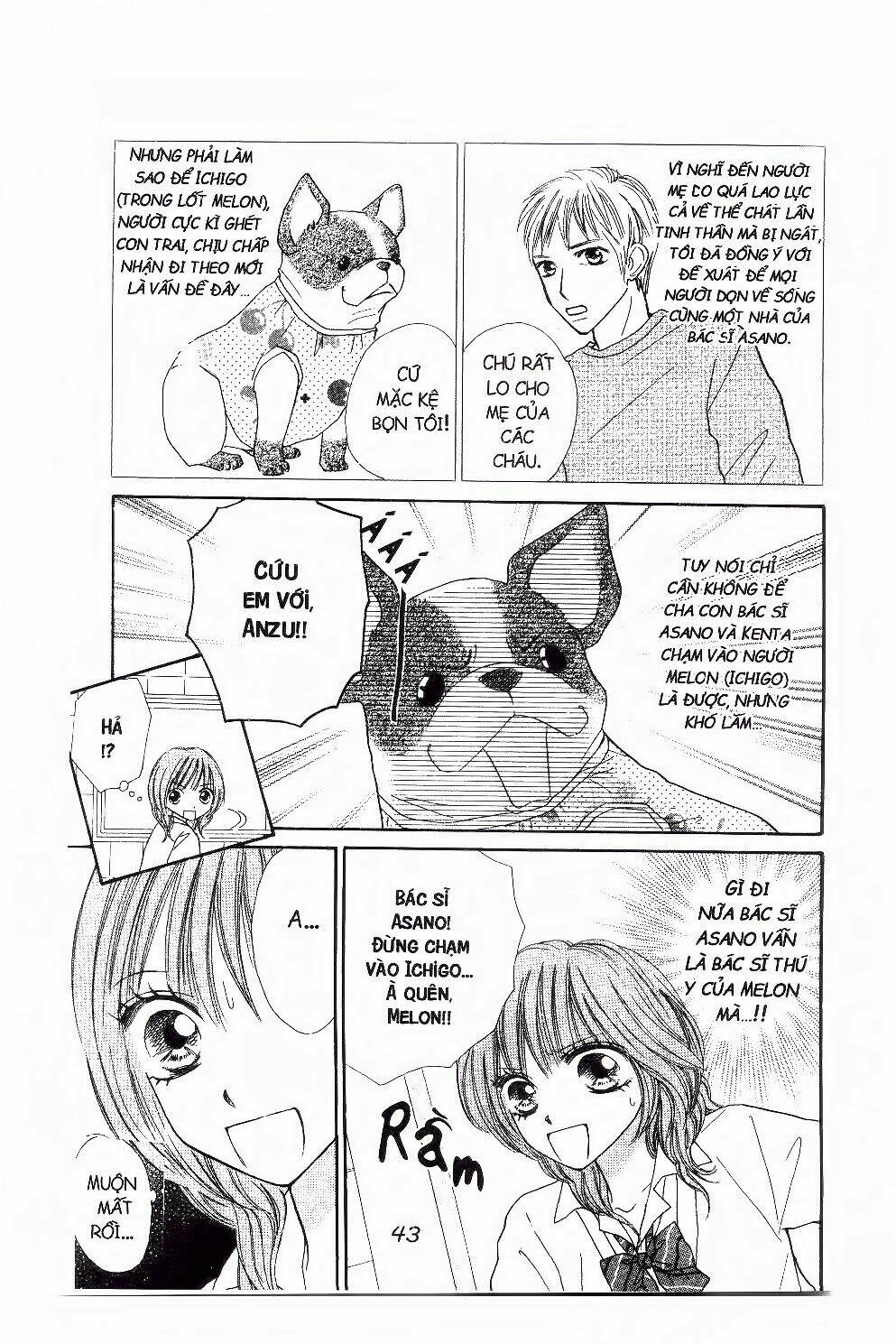 ichigo to anzu chapter 11 22