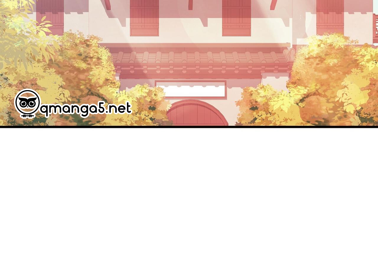 những chú thỏ của hapypy chapter 63 122