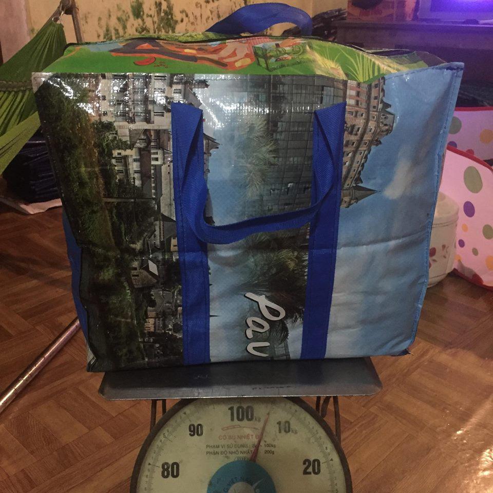 Túi bạt dứa nhỏ in hình thiên nhiên, hoa quả - KT 35x40x15cm thuận tiện đi chợ, đựng quần áo đi chơi, về quê