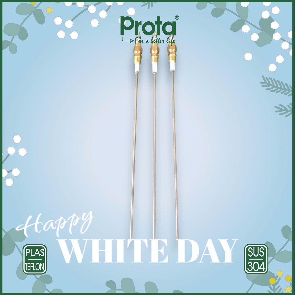 [CHÍNH HÃNG] Que thăm mực nước ren 13 – đầu dò inox 304 cao cấp