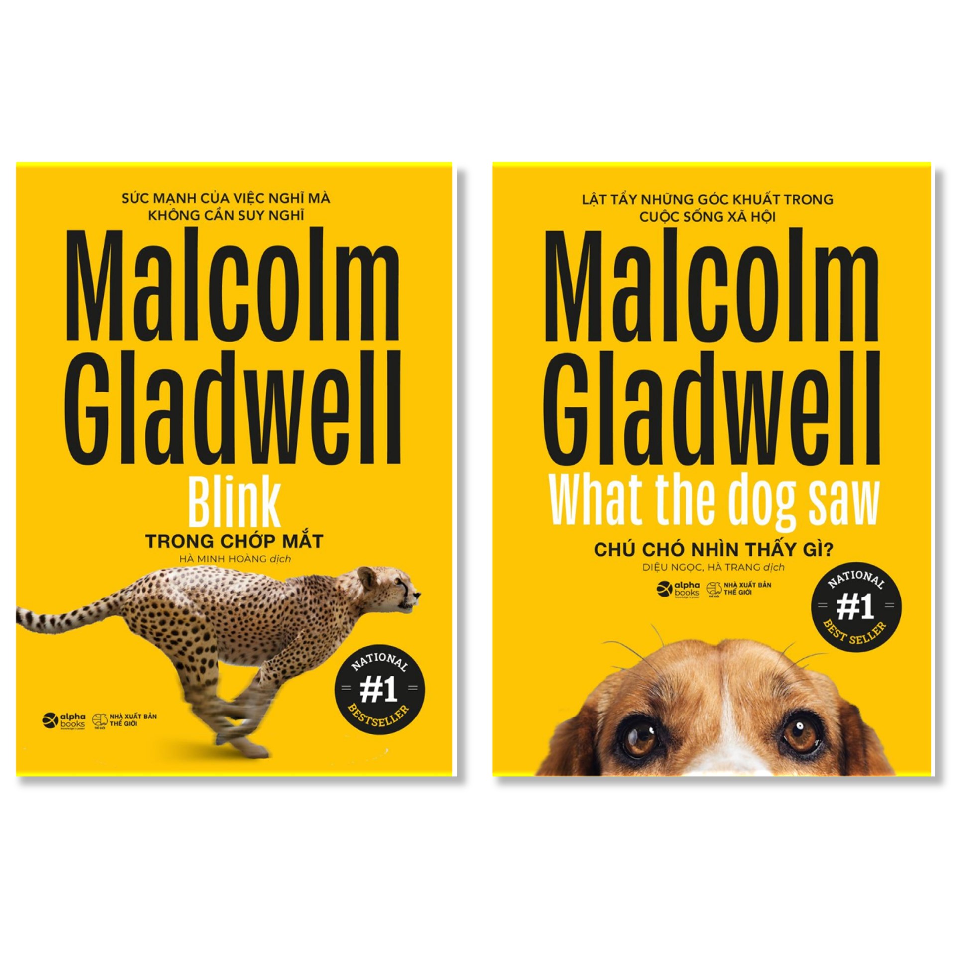 Combo Sách Của Malcolm Gladwell : Trong Chớp Mắt - Blink + Chú Chó Nhìn Thấy Gì? - What The Dog Saw (Tái Bản Đổi Bìa 2020) 