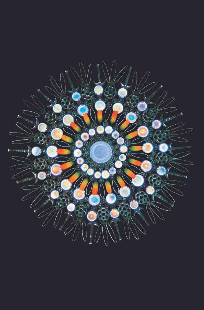 Vũ Trụ - Những Thế Giới Khả Hữu - Cosmos - Possible Worlds - Bìa Cứng