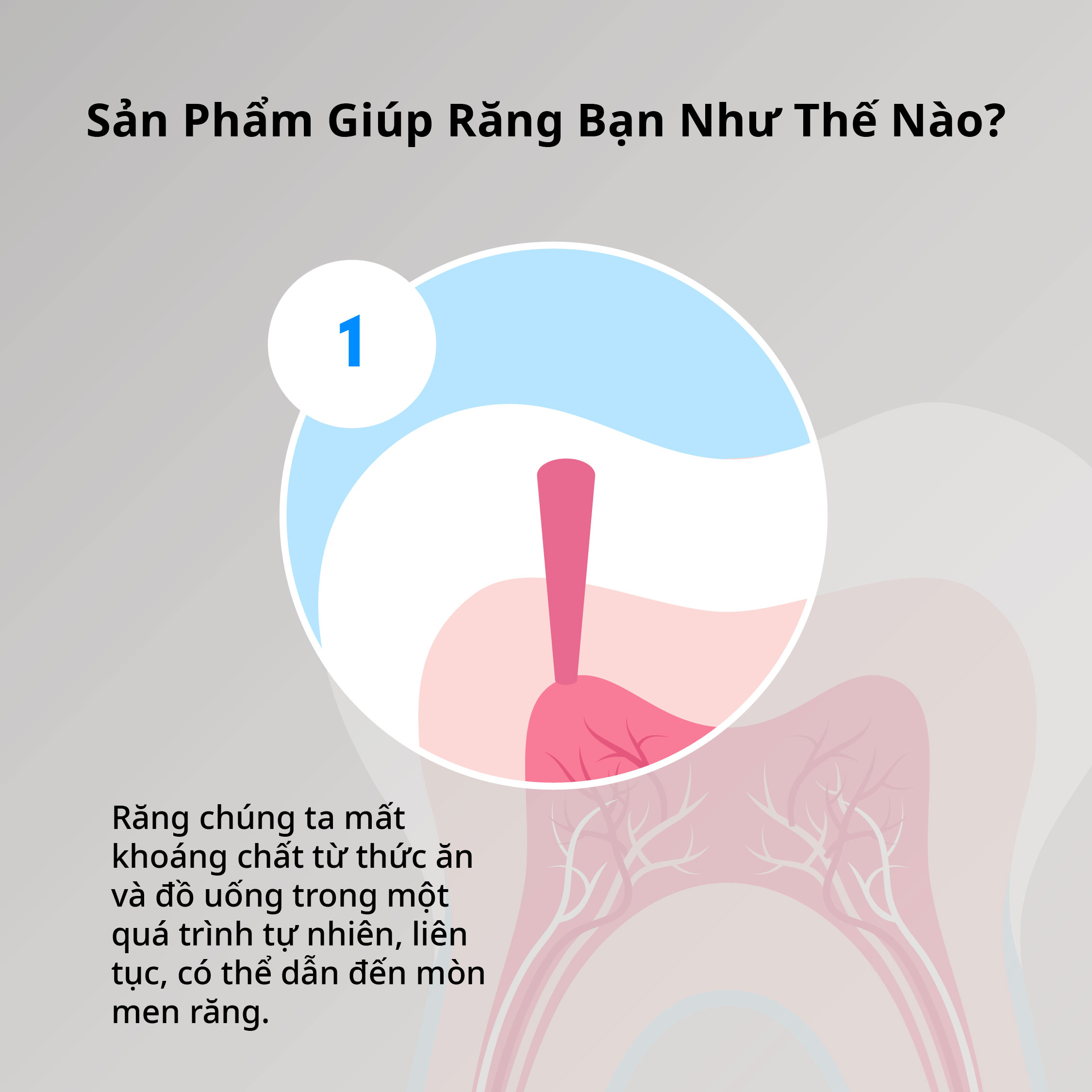 [MỚI] Kem Đánh Răng Phục Hồi Men Răng Zenyum Enamel + Repair 20g/100g
