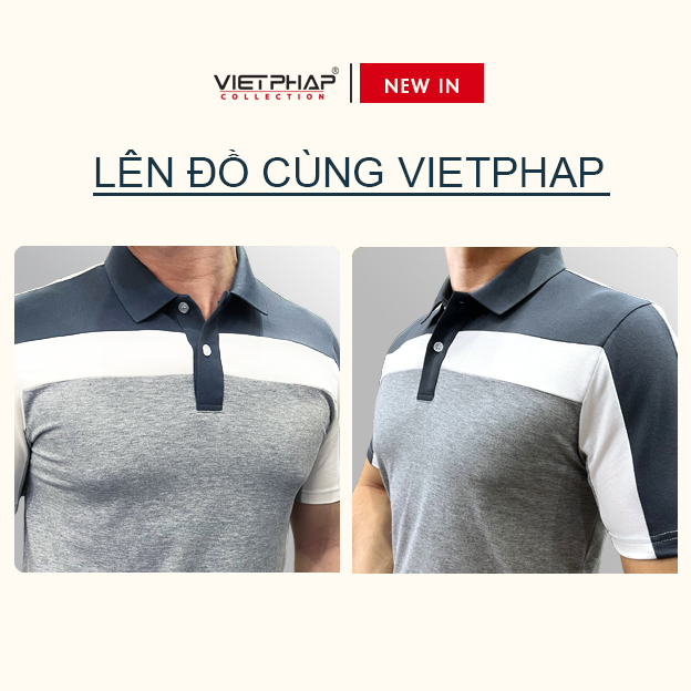 Áo Thun Polo Nam Cao Cấp VIỆT PHÁP / Form Basic - Chất liệu cotton co dãn thấm hút mồ hồi tốt 3202