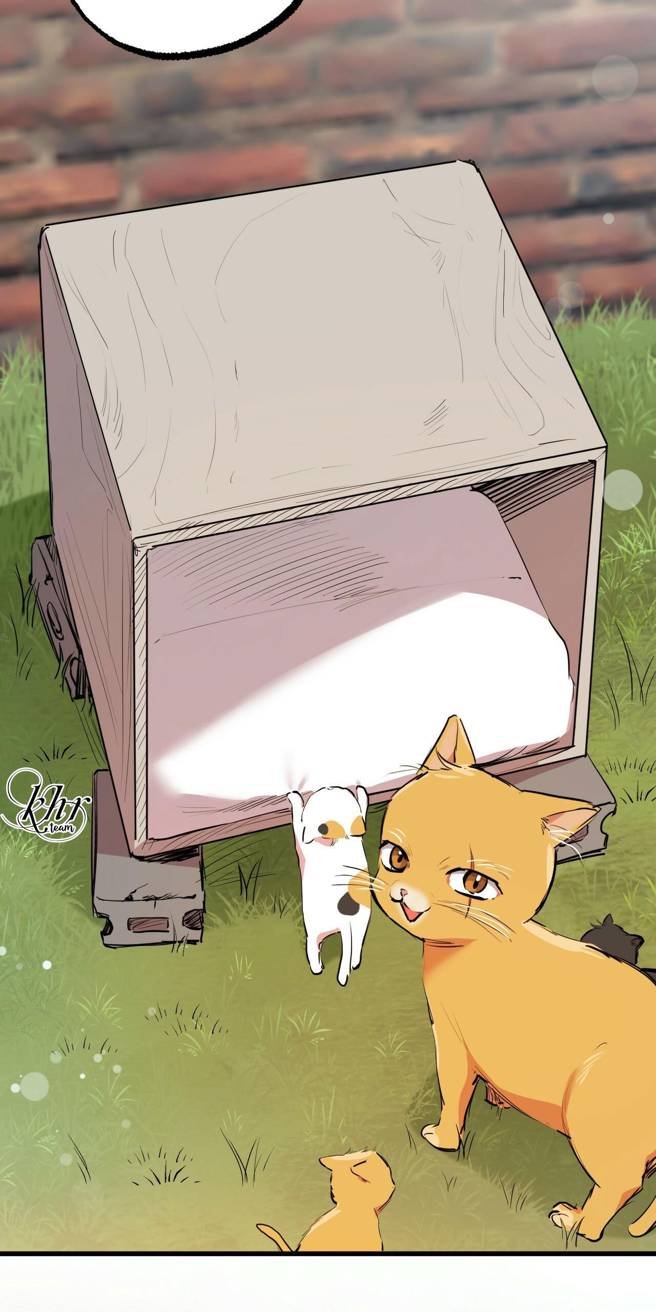 những chú thỏ của hapypy chapter 32 20