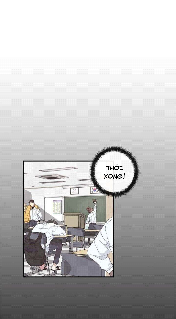 thanh xuân lầm lỡ chapter 33 35