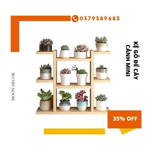 Kệ gỗ để bàn chậu hoa, cây cảnh mini sang trọng kệ đựng đồ gỗ thông 55X55X12 CM