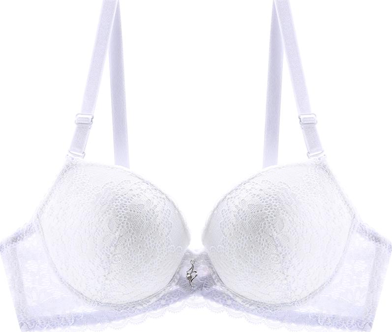 Áo Ngực Nữ Mút Dày 12H - Mã C124