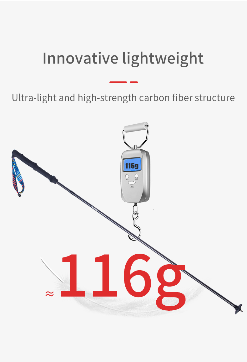 Gậy Carbon Leo Núi Trekking Pole Aonijie E4204 (1 cây)