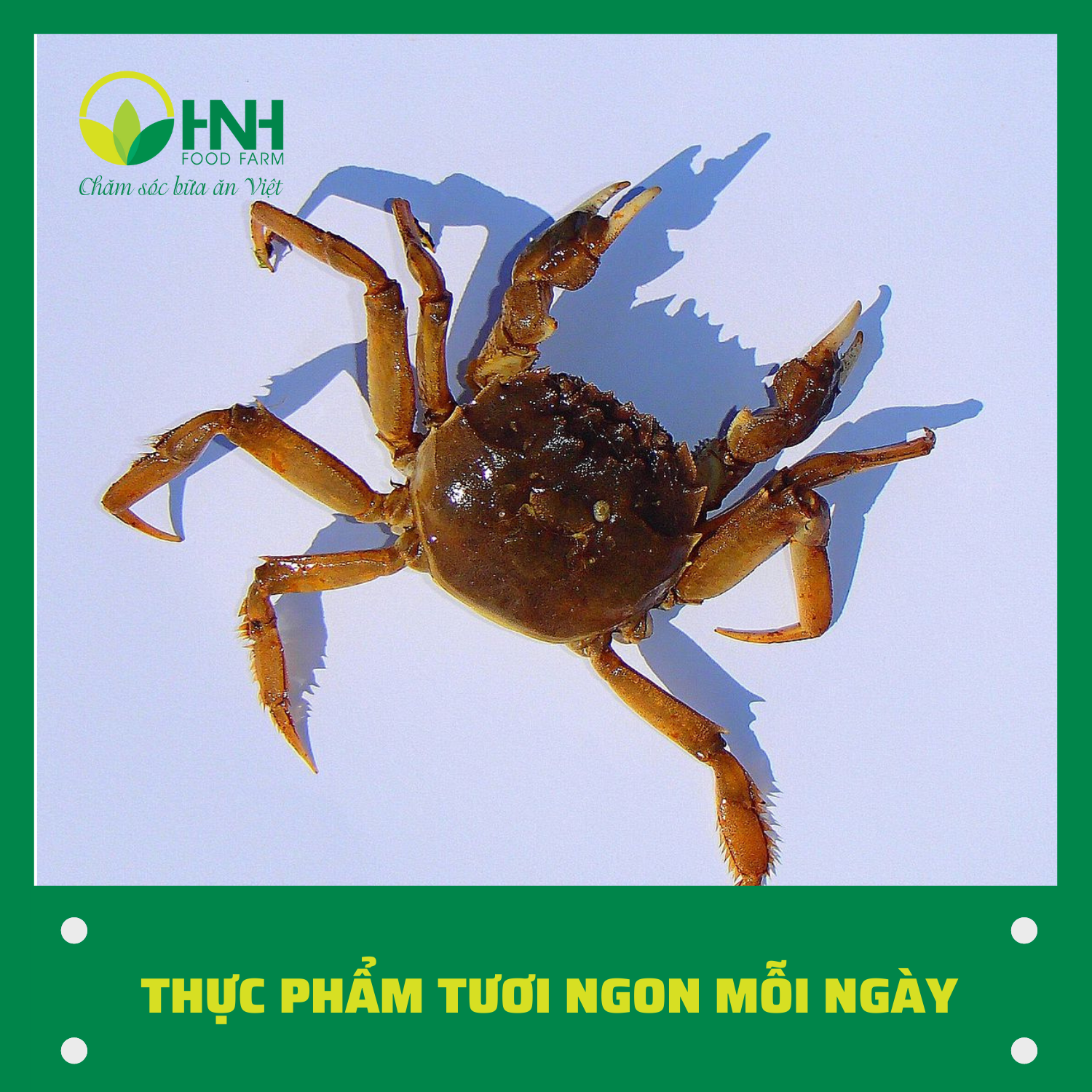 Cua đồng sống nguyên con - 1kg