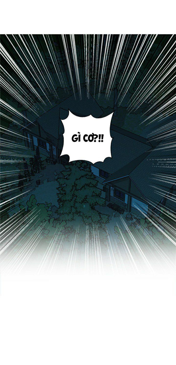 chị tôi đã nhặt về một nam chính quyến rũ chapter 17 19