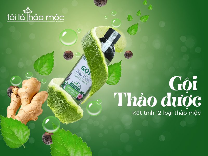 Gội Thảo Dược Tôi Là Thảo Mộc 300ml