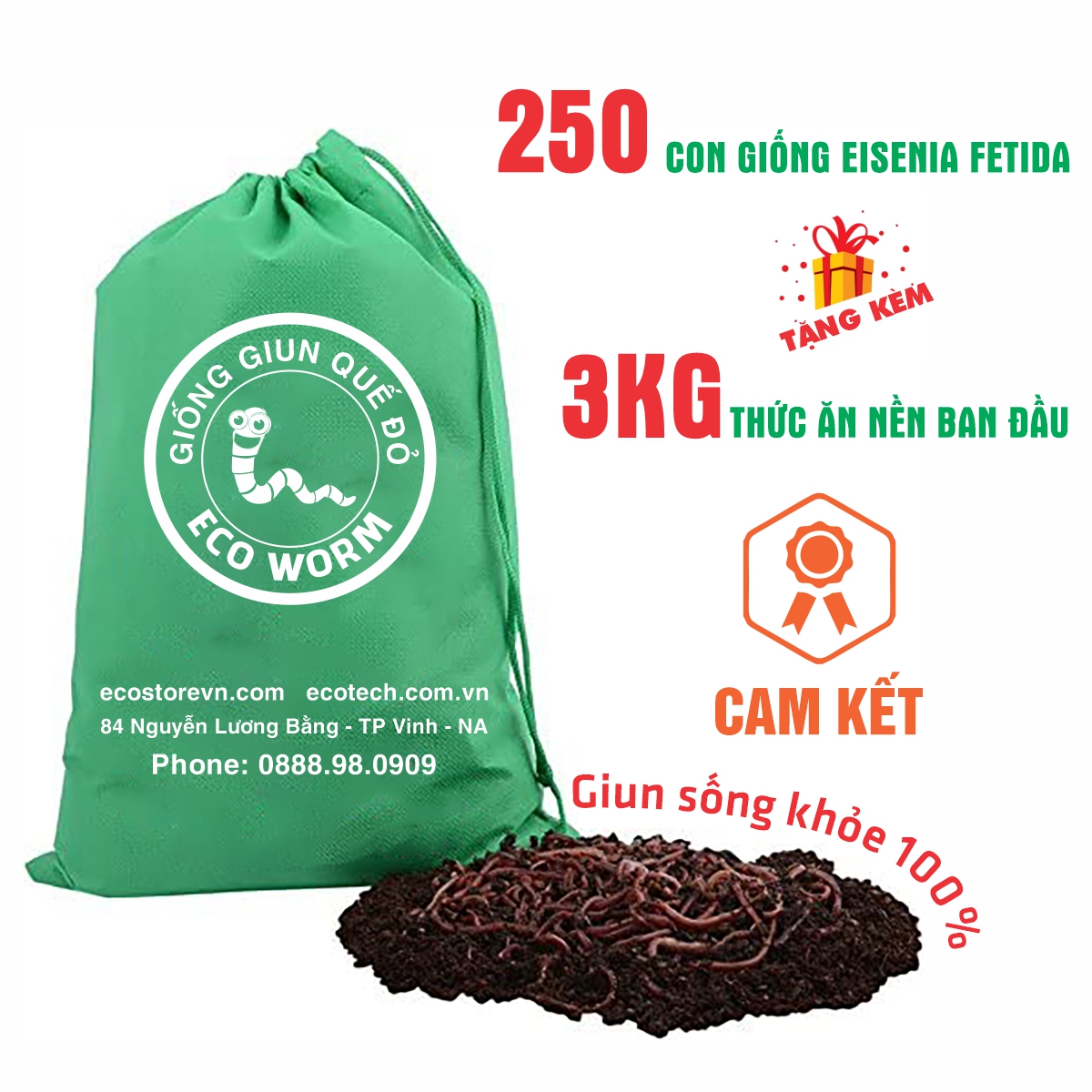 GIUN TRÙN QUẾ GIỐNG Eisenia Fetida (200 con): cao cấp, chuyên xử lý rác thải hữu cơ, mồi câu, thức ăn cho cá &amp; gia súc...