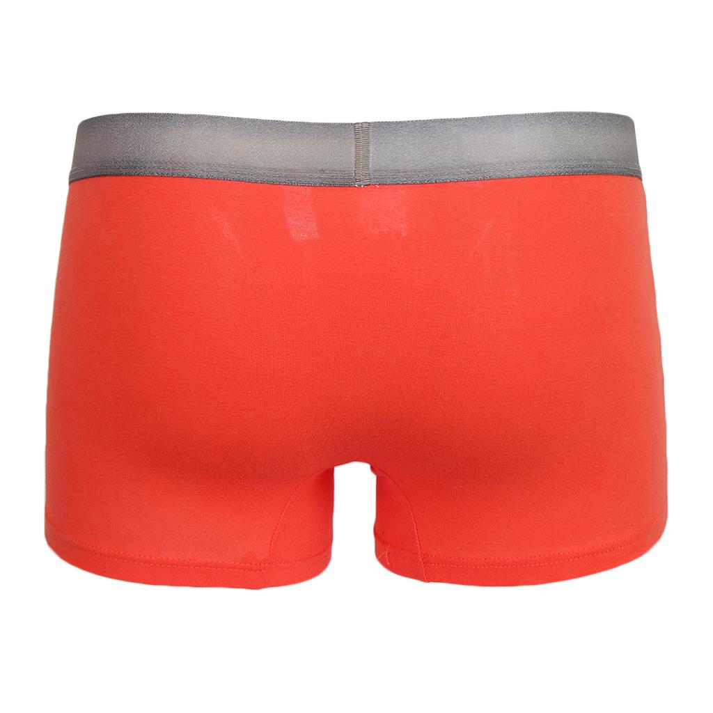 Fashion Men's Fun Bear Print Boxers Underwear Bulge Pouch Underpants Shorts M - XL