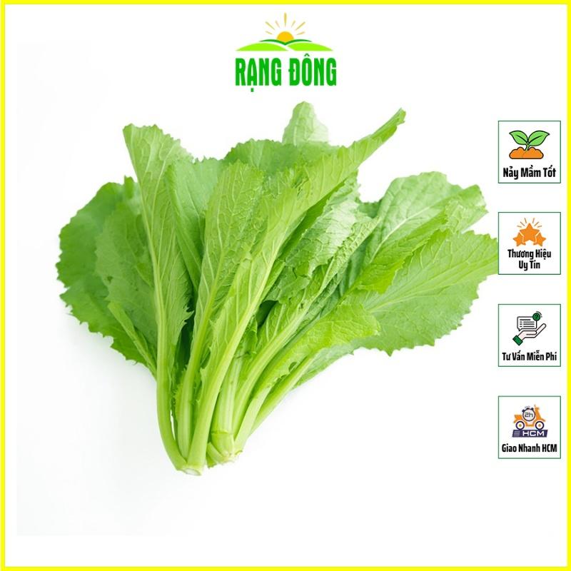 Hạt giống Cải Bẹ Xanh Mỡ Chịu Nhiệt, Sinh Trưởng Tốt - Hạt giống Rạng Đông