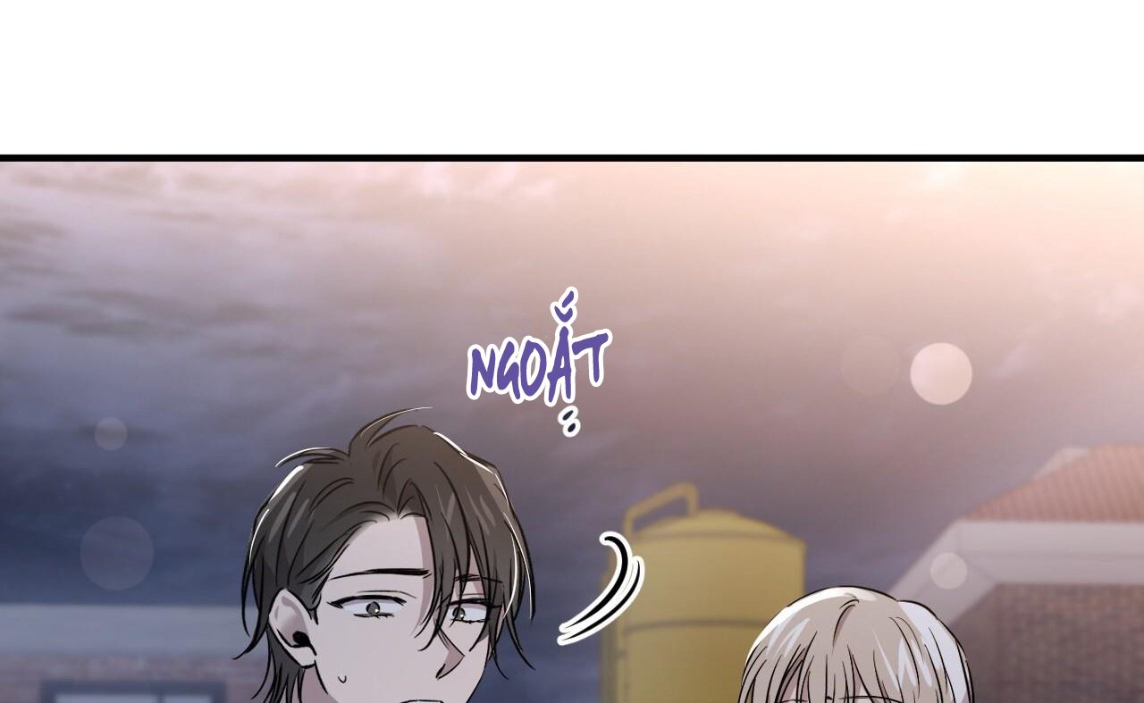 những chú thỏ của hapypy chapter 58 241