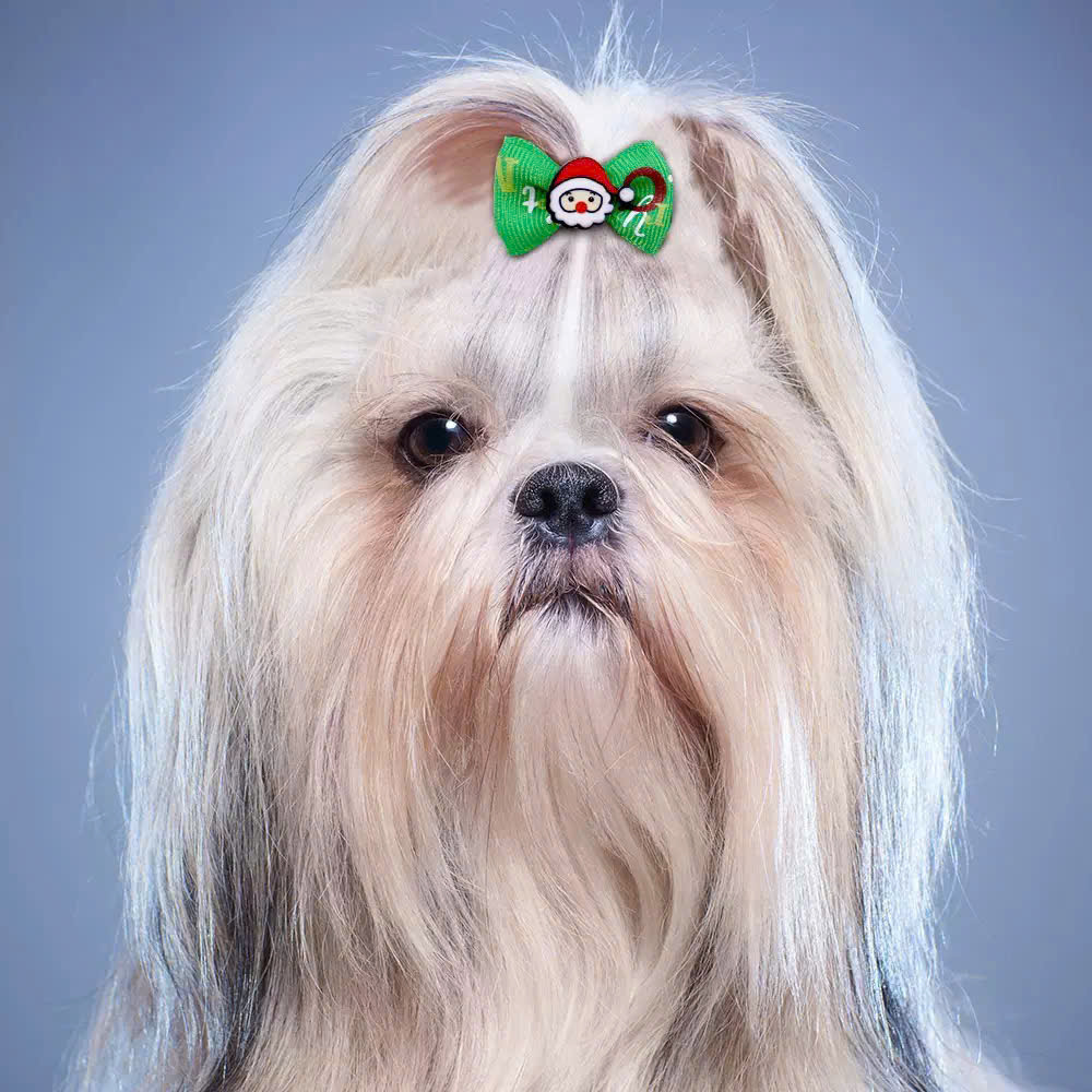 NƠ KẸP TÓC CÀI TÓC BUỘC TÓC GIÁNG SINH NOEL DỄ THƯƠNG MÃ 20 XINH XẮN CHO THÚ CƯNG CHÓ MÈO