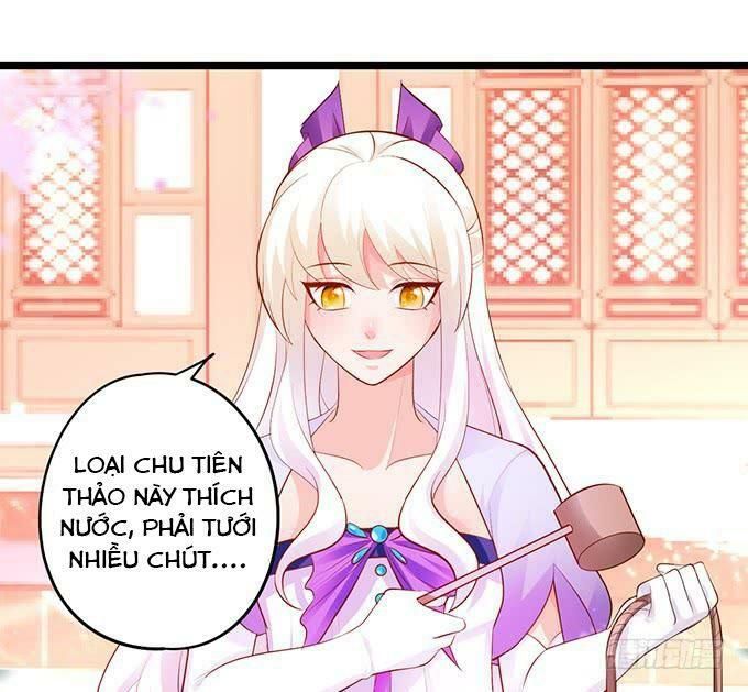 hồ tiên hung bạo chapter 137 11