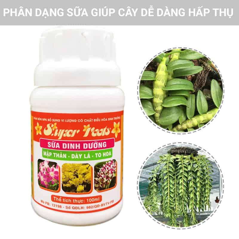 Phân Bón Bổ Sung Vi Lượng Super Roots Sữa Dinh Dưỡng - Mập Thân- Dày Lá- To Hoa lọ 100ml