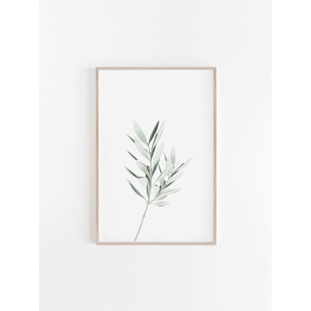 Tranh treo tường | Tranh cây lá nhiệt đới - Olive Print, Bathroom Wall Art, Botanical, Green Wall Art, Olive Art