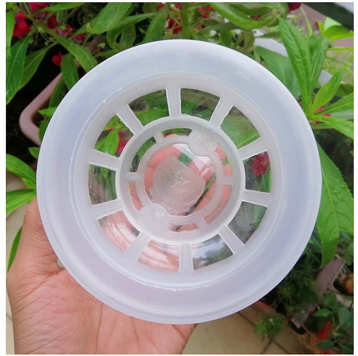 ComBo 5 Chậu Nhựa Trồng Cây Thủy Sinh, Kích Thước 10x10x13Cm