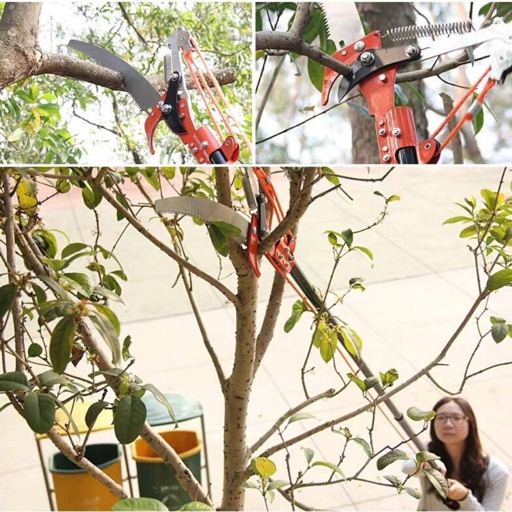 Kéo tỉa cành trên cao - đầu kéo cắt tỉa cành trên cao kết hợp cưa cành lớn