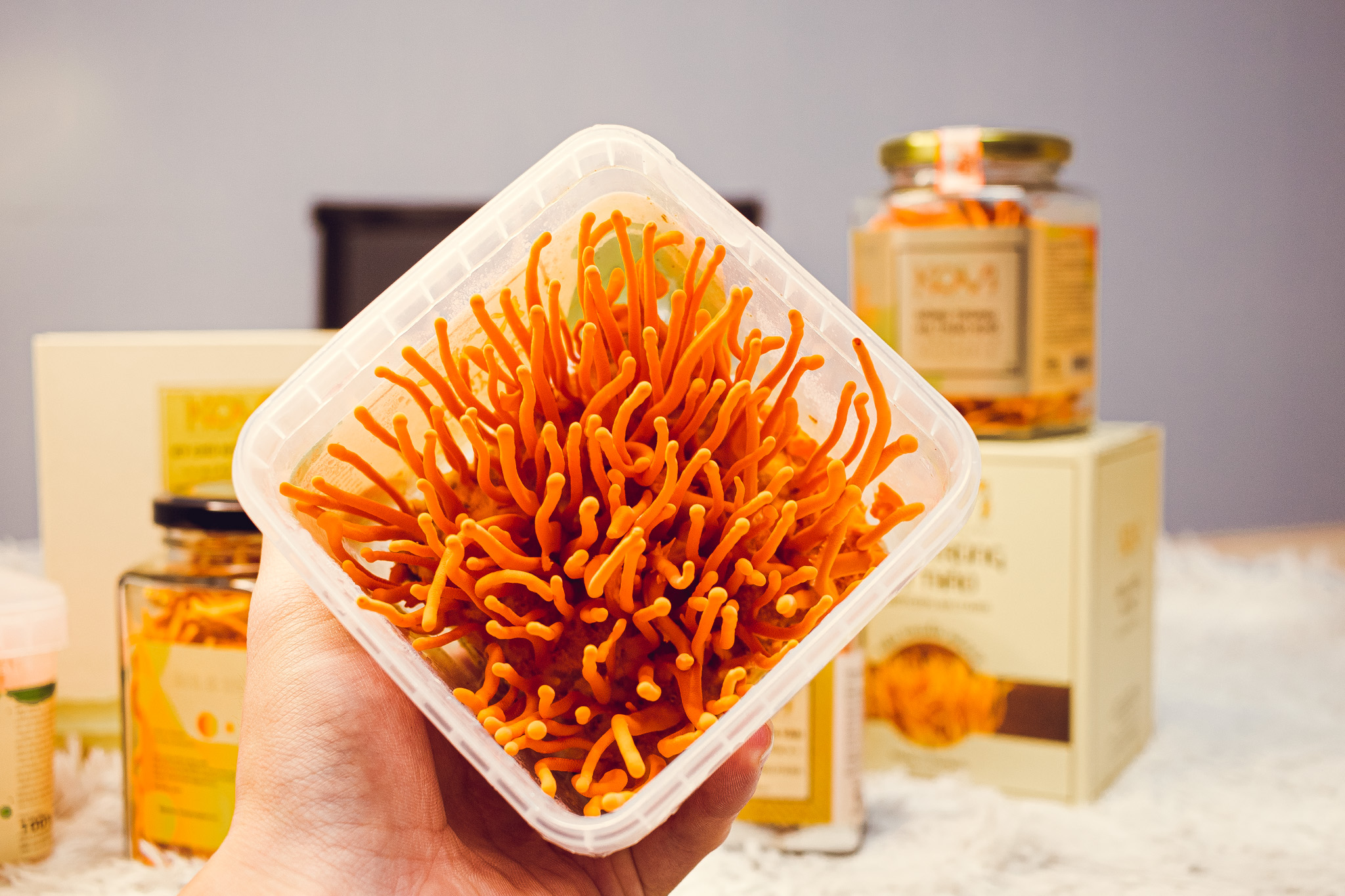 Đông Trùng Hạ Thảo Tươi Kovi Hộp 150g