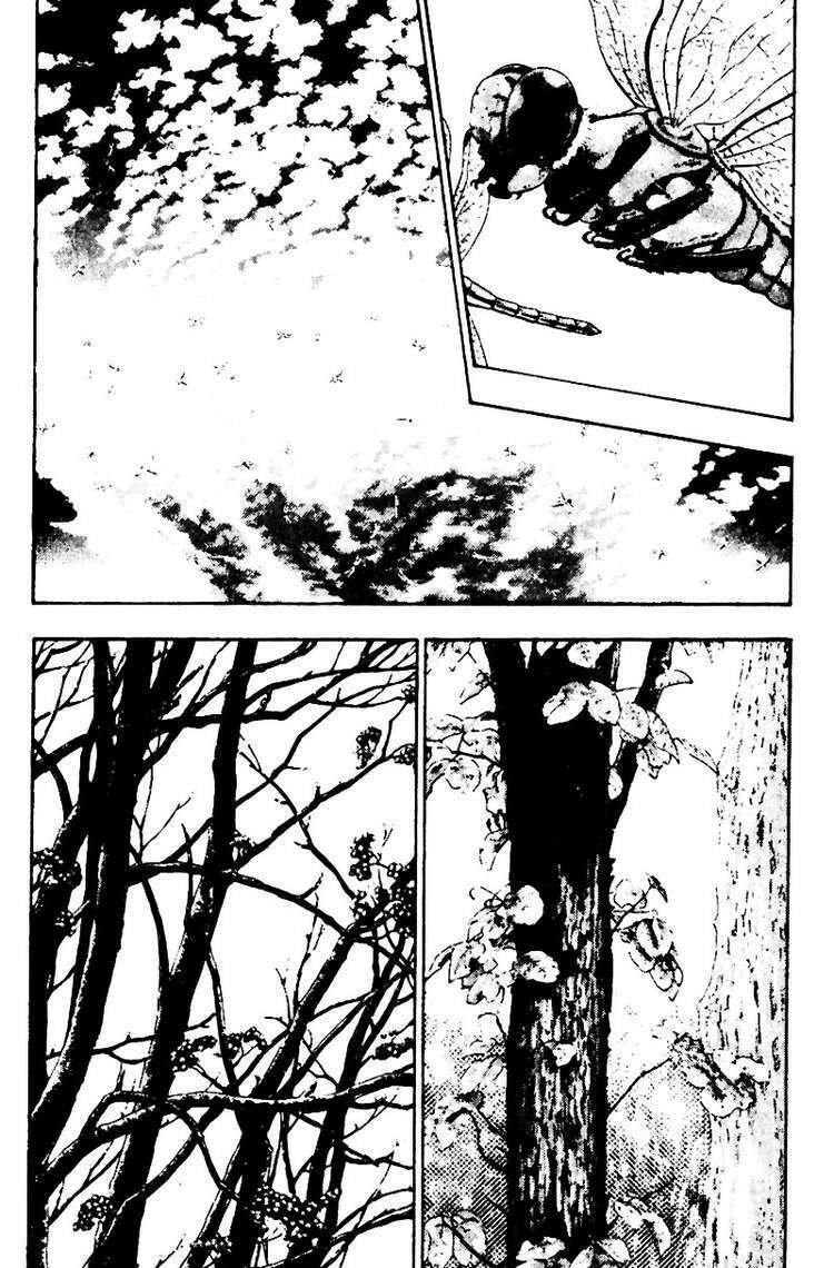 shamo (võ đạo) chapter 17 4