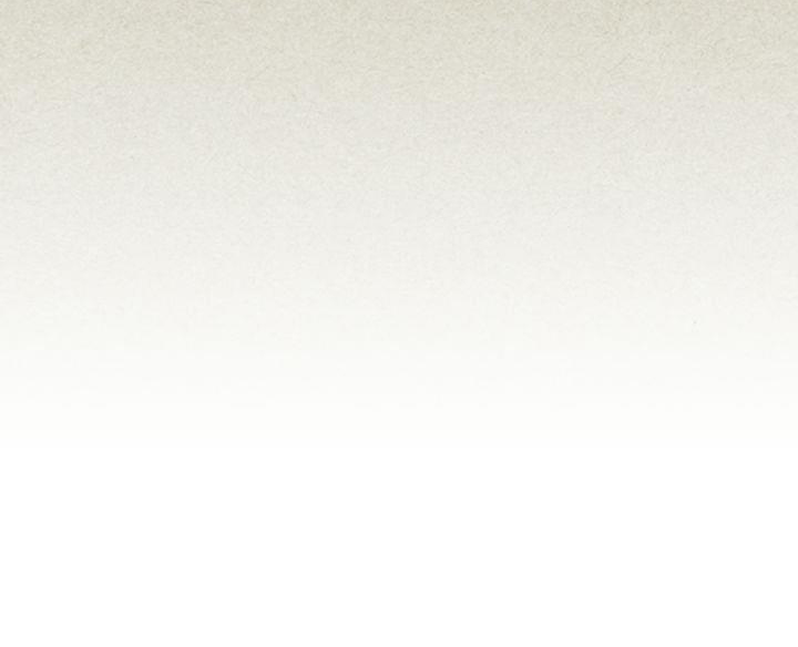 thú cưng của nhân vật phản diện chapter 11 48