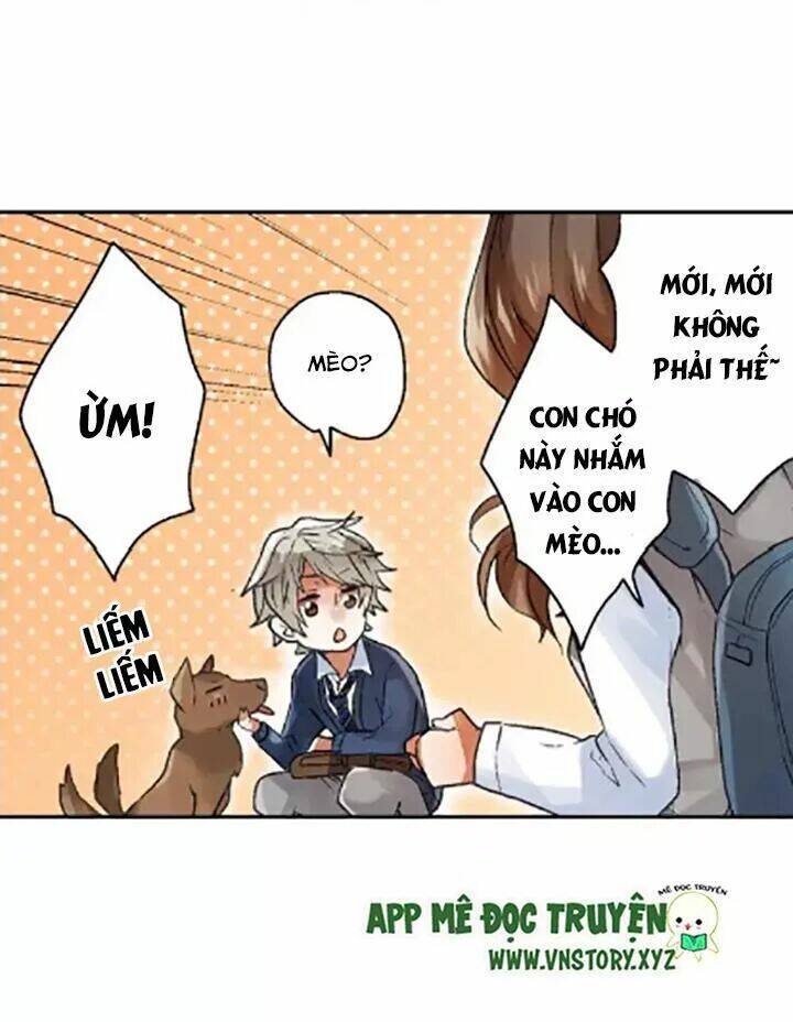 ngàn vạn nụ hôn đầu chapter 2 3