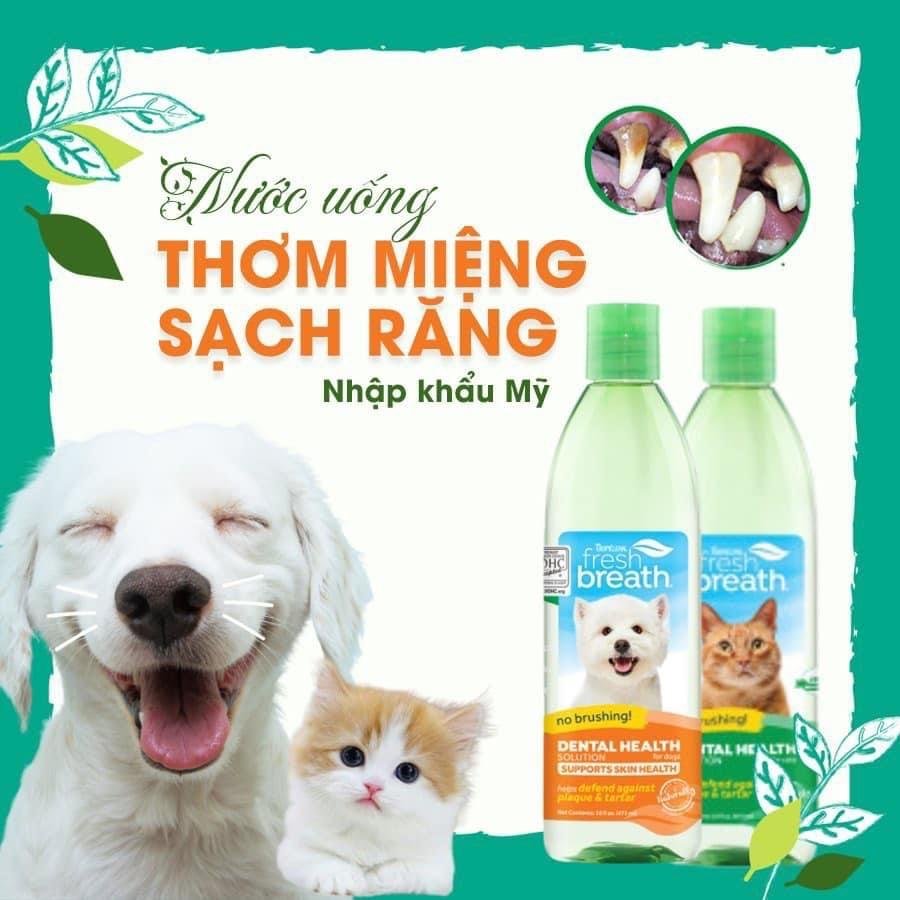 Nước vệ sinh răng miệng mèo, giảm mảng bám, cao răng (Tropiclean, Mỹ, 473ml)