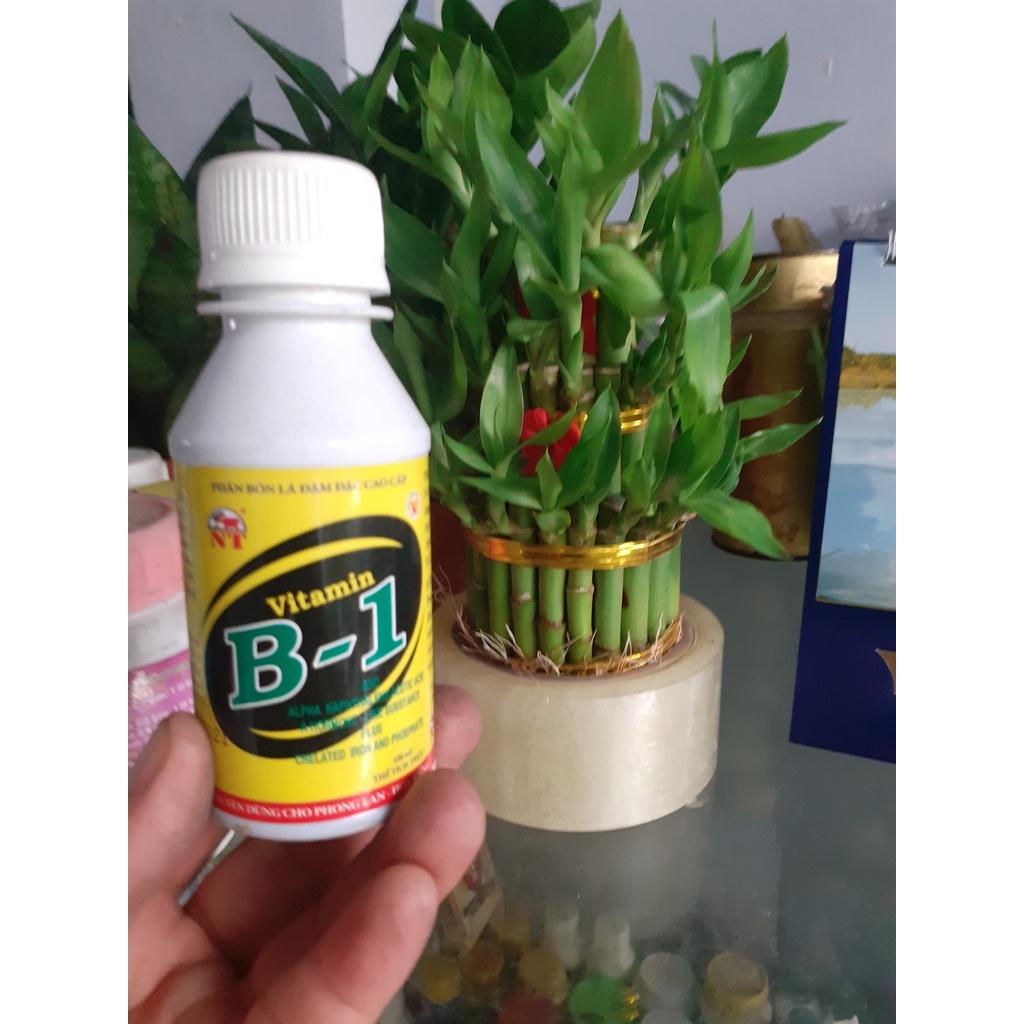 Chai 100ml ra rễ cực mạnh vitamin B1.