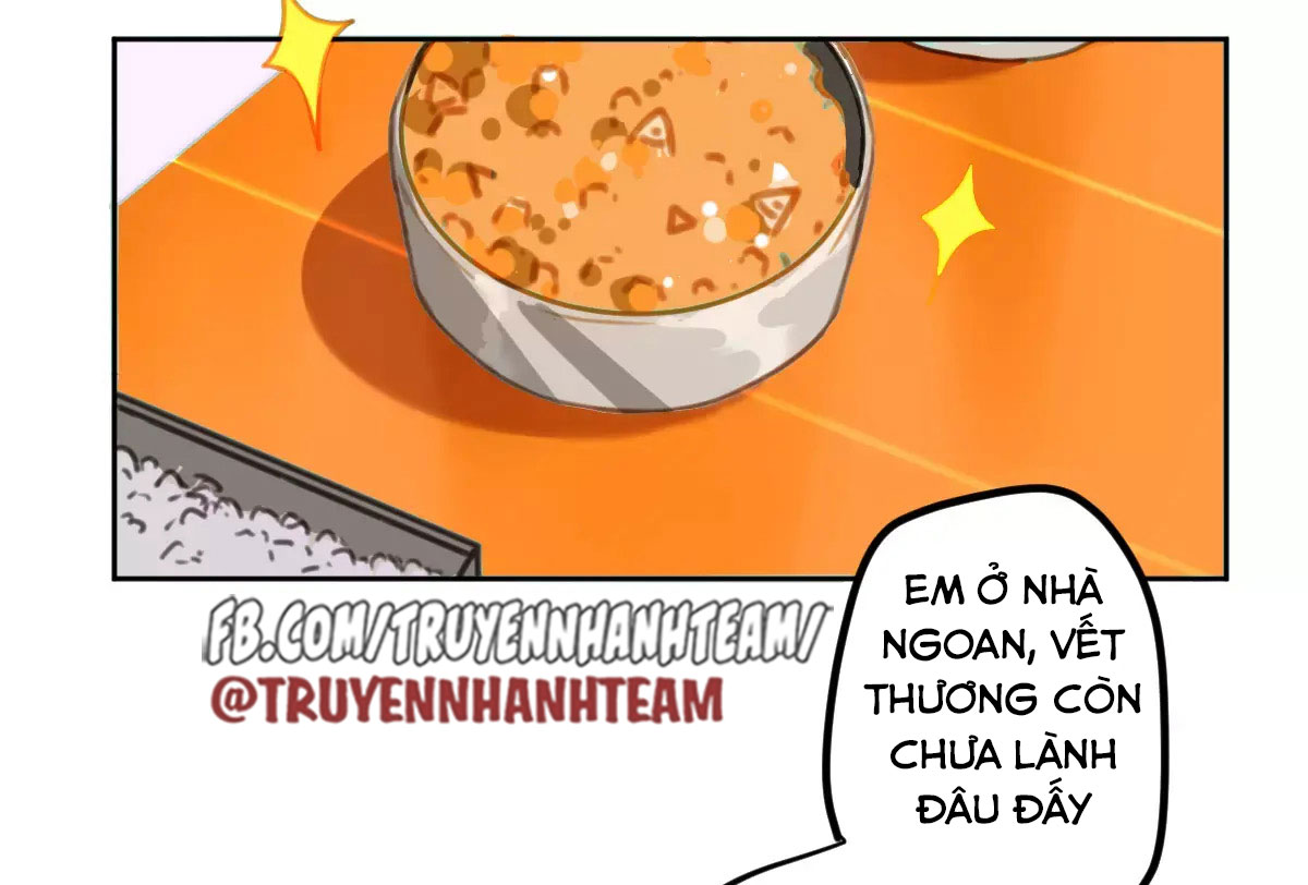 xã hội mèo chapter 2 5