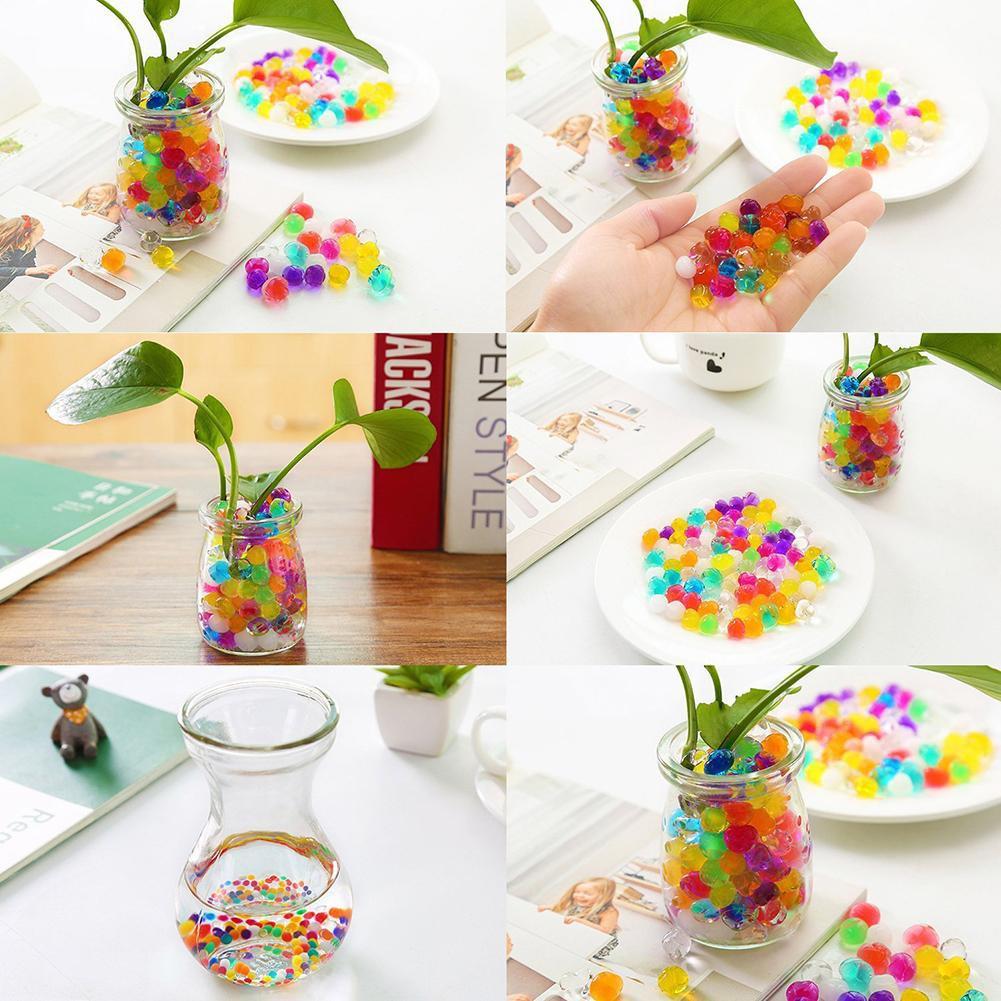 Hạt nở Nhật Bản Làm Slime Hoặc Trồng Cây - Nguyên liệu làm slime