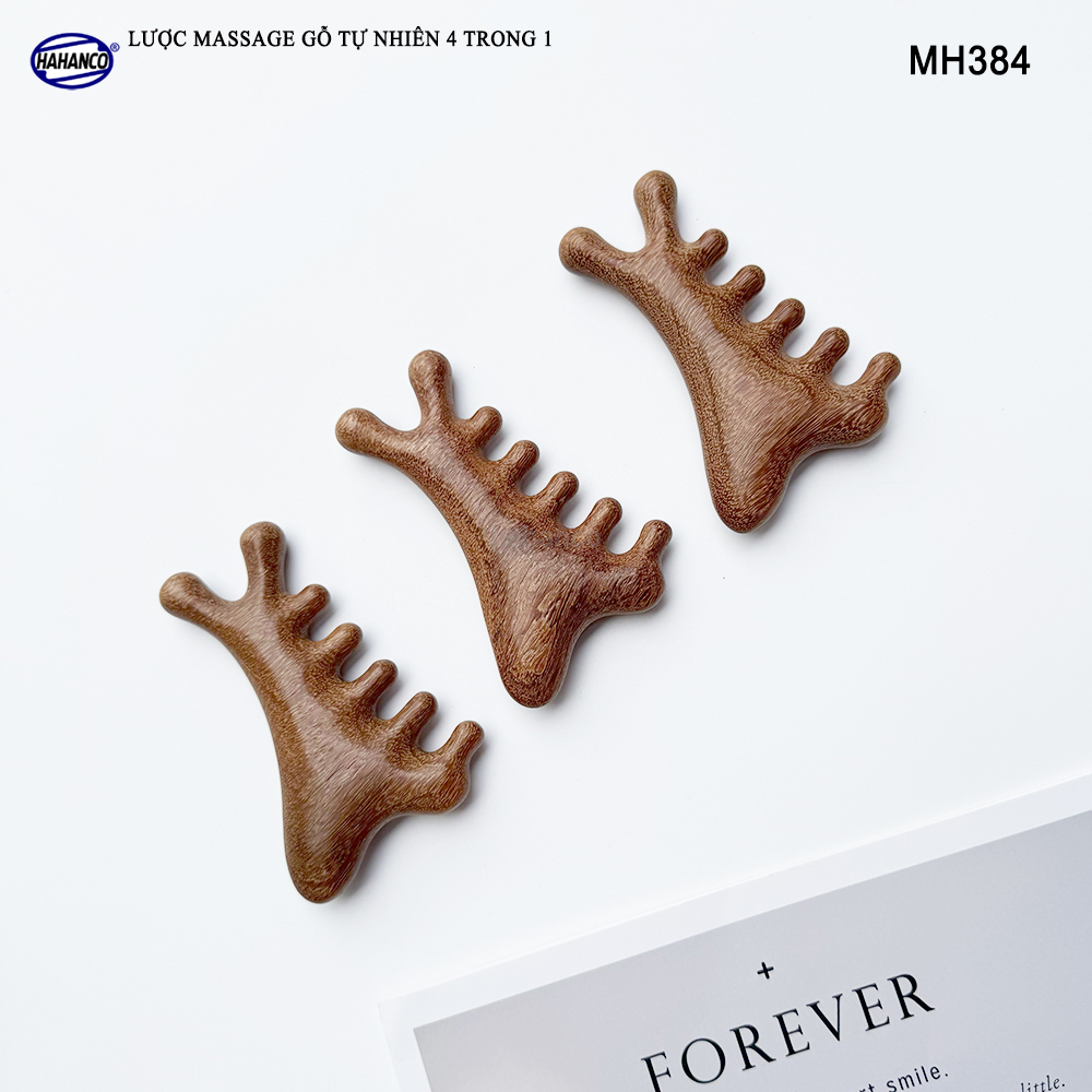 Lược Massage Dụng Cụ Làm Đẹp Chuyên Nghiệp Gỗ Tự Nhiên 4 Trong 1 - HAHANCO - MH384