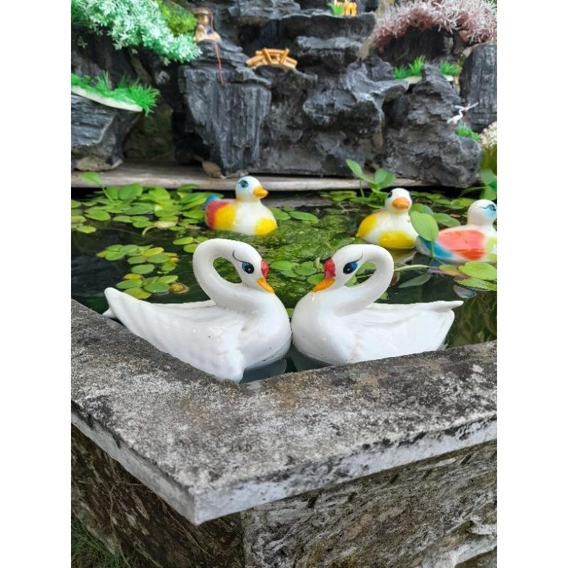 2 thiên nga nổi trên nước -2 chú vịt bơi trên nước