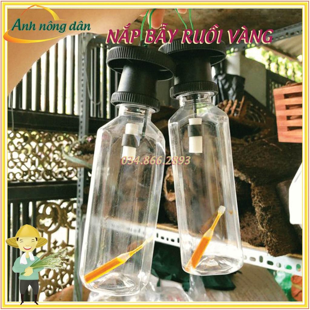 Nắp Bẫy ruồi vàng thế hệ mới + chất dẫn dụ