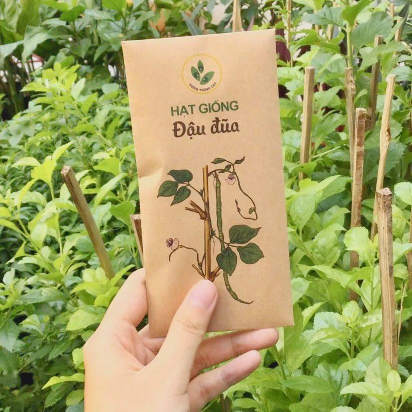 Hạt giống Đậu đũa xanh sai trái dễ trồng