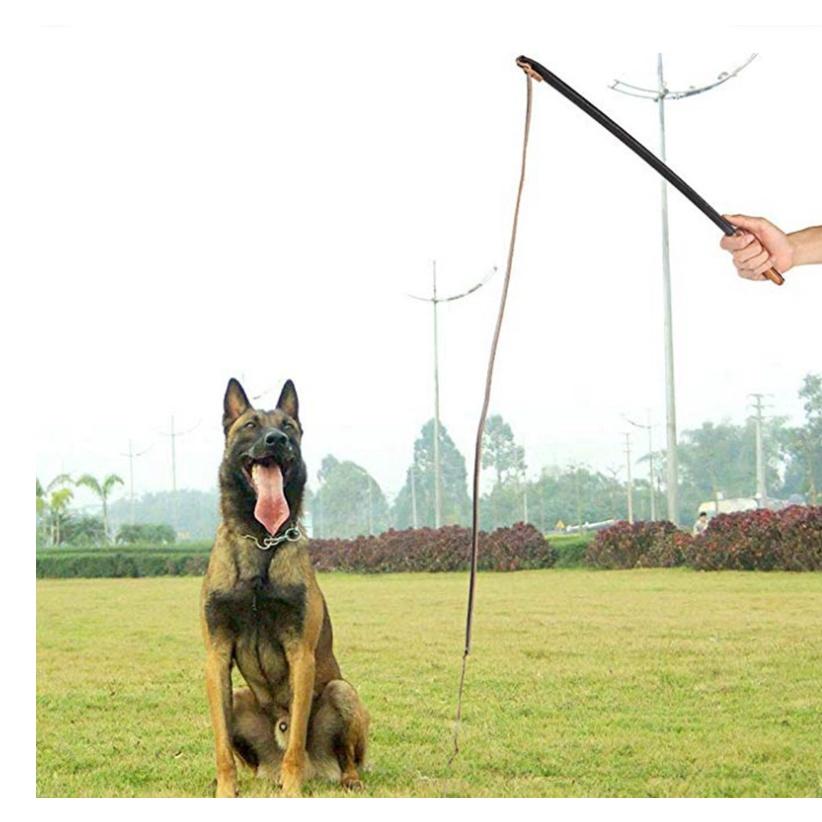 roi nổ huấn luyện chó nghiệp vụ ,roi kích chó huấn luyện tập cắn malinois ,gsd,rottweiler