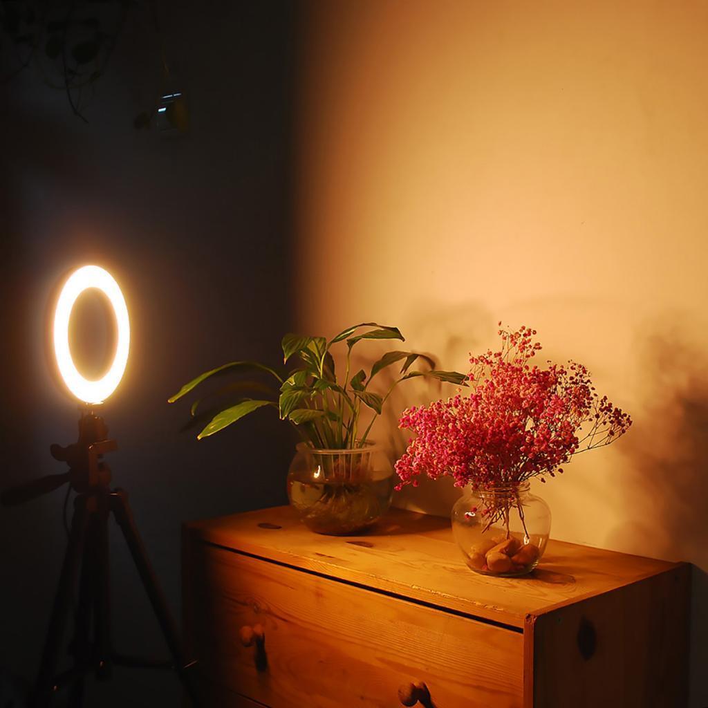 Dimmable LED  Light with Adjustable Colour Video Photography Lighting