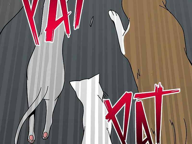 đấng cứu thế được chọn lựa chapter 11 279